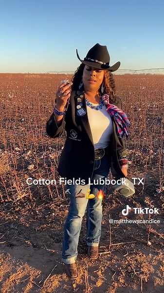 The Symbolism of Cotton Fields: From History to Voting Power