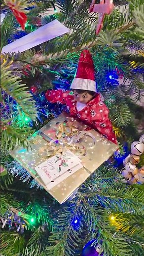 Elf on the Shelf Day 16 – The Elves Are Hiding in the Tree