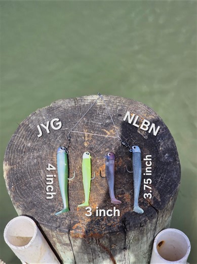 Swim Bait Comparison: Small Paddle Tail Lures