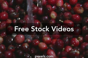 Coffee Beans Splash Videos, Download The BEST Free 4k Stock Video Footage & Coffee Beans Splash HD Video Clips