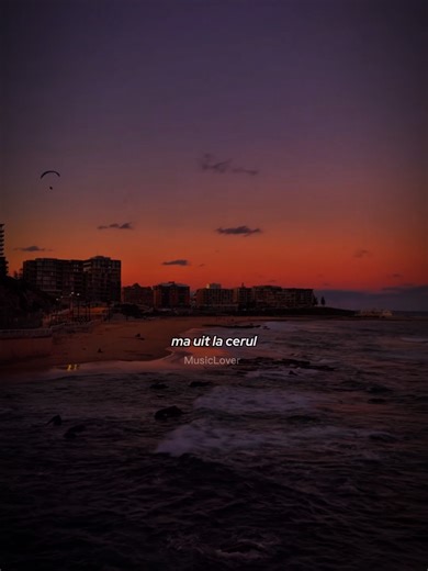 #versuri #lyrics_songs #fyp | lirik lyrics