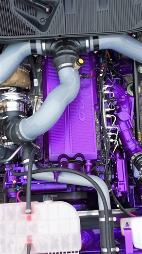 Dickerson Custom Trucks on Instagram: "The CEO Peterbilt 589 #peterbilt #peterbilt589 #largecar"