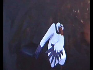 The Cat King 1994 Clip From Cooldzane