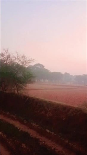 Sunrising morning time reels video on camera 📸📸📸...,#morning #bome