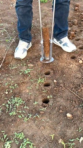 🪵 Don’t Blink… This Soil Sampling Is Weirdly Addictive ✨ #ASMR