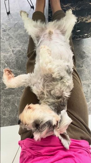 Just Relax 🧘‍♂️ #shorts #trending #viralvideo #short #remix #viralvideo