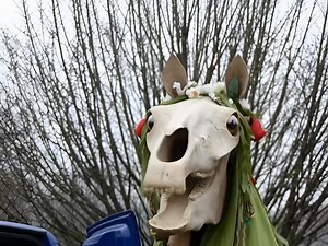 65K views · 585 reactions |  The Mari Lwyd – Wales’ Creepiest...