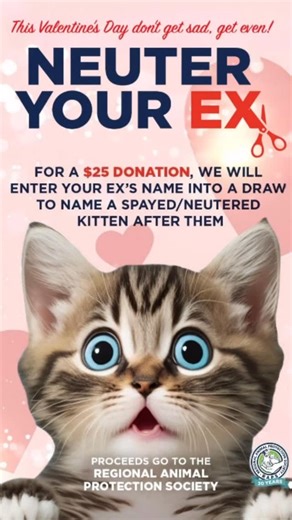 RAPSAnimalHospital on Instagram: "This Valentine’s Day, don’t get sad, get even by neutering your ex! Help the kitties with a minimum $25 donation toward a spay or neuter procedure — and, in return, your ex’s name will go into a draw. Each kitten from the next RAPS rescue litter will then be named, from the list of former flames prior to being spayed or neutered. Because some things shouldn’t breed! Link in bio! #NeuterYourEx #RegionalAnimalProtectionSociety #ValentinesDay #AnimalFundraiser #cat