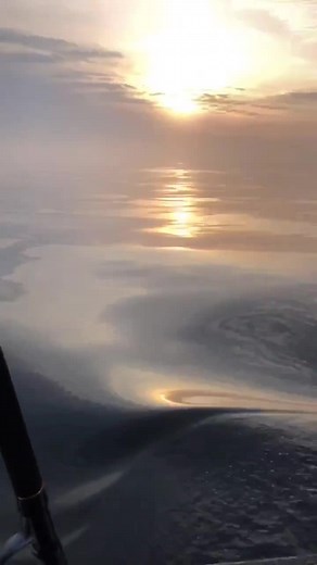 太平洋の外洋に船で1時間。普段は大荒れなのにこのは違いました。釣りしていて一番きれいな景色だった。#釣り#fishing#釣り好き#エモ動画