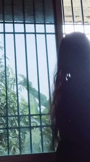 Story of introvert 🙃#subscribe #introvert #shorts #motivation #study