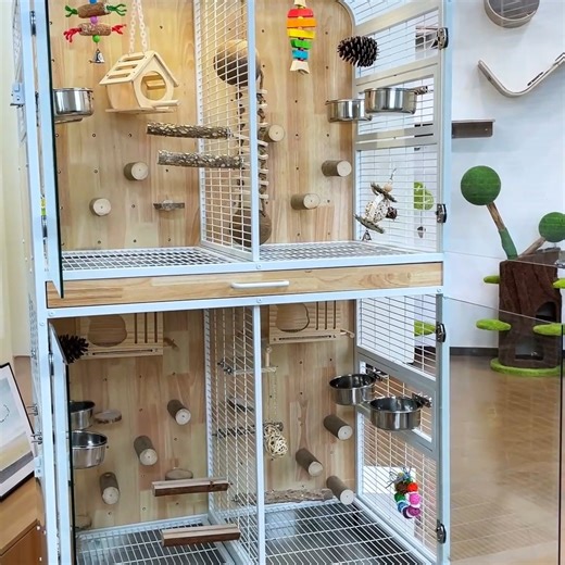 Bella on Instagram: "A Symphony of Materials 🎵🌿 Wood, steel, and open space harmonize perfectly. Textured wood invites touch, while sleek metal contours add modern elegance. Birds hop and flutter, claws tracing patterns on perches crafted with care. Every chirp and movement is framed by thoughtful design — where they don’t just live, they thrive. And your home feels elevated, refined, and alive. ✨ #LuxuryBirdCage #AvianElegance #BirdParentsLife #HomeWithStyle #BirdVilla#BirdVilla #AvianCare #P