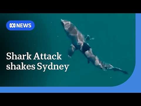 Shark attack at Coogee Beach leaves 35yo with critical injuries | ABC NEWS