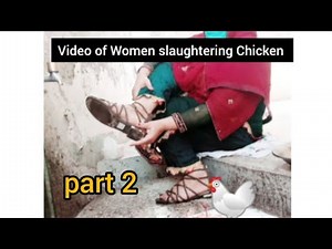Video of Woman slaughtering Chicken Part 2, By Gull Baji Vlogs