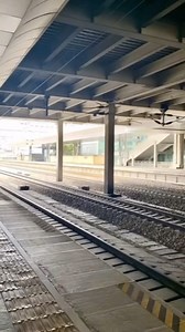 This prolly mad funny | Weird Cats But Ok