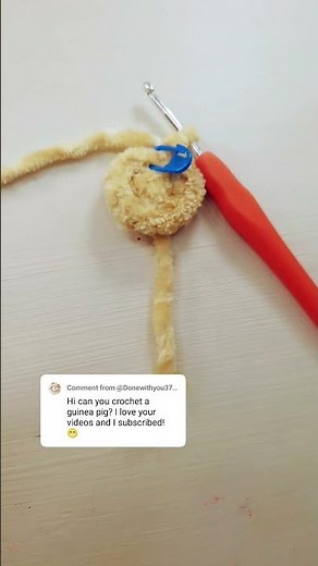 Crochet Guinea pig!!