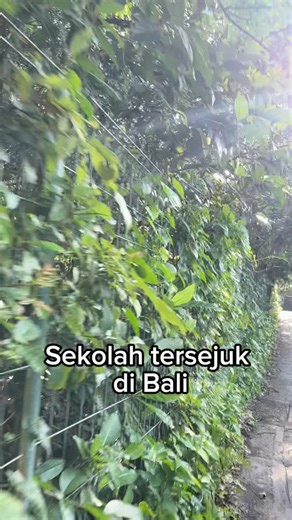 I Gusti Ayu Windari Putri on Instagram: "Sekolah tersejuk di Bali #hutan #sekolahramahanak #sekolah"
