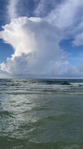 Wind, waves, and a salty breeze 🌊💨 The beach is alive today #LiveBeachWalk #Old98Destin #FiveStarProperties #WatchTheWaves #BeachWalks #BeachLife #DestinFlorida #MiramarBeach #30AFlorida | Destin Beach Cams