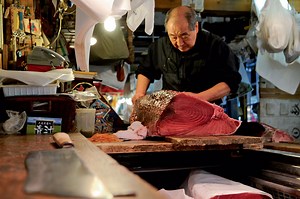 L'élevage sauvera t-il le thon ?