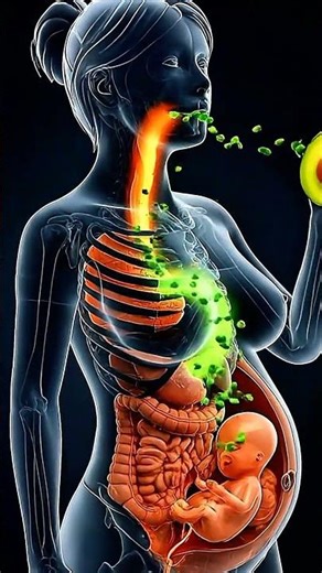 How Avocado Supports Pregnancy🤰🥑