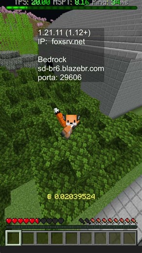 Brazilian SMP Server #br #minecraft #gaming Semi-Anarchic