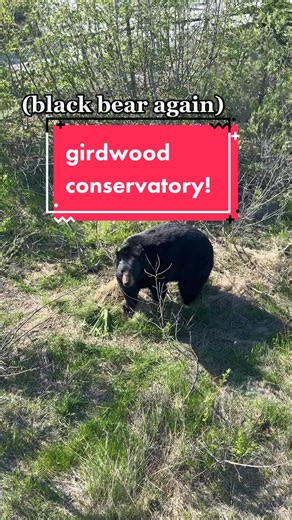 Exploring Alaska Wildlife Conservation Center