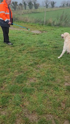 Moxey and honey 😍 | Whitton Moor Farm Kennels