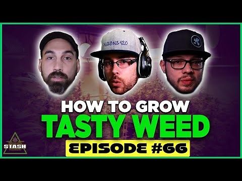 How to Grow Better Tasting Weed - From the Stash Podcast Ep. 66