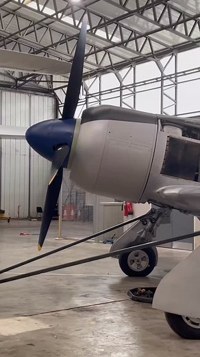 3.6K views · 2.3K reactions | The Hawker Tempest II - a design intended for action in the Far East. #warbirds #ww2 #hawker #tempest #royalairforce | Daniel J Wheatcroft | Facebook