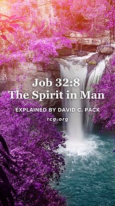 Job 32:8 - The Spirit in Man - Explained by David C. Pack Your Awesome Potential - #biblestudy #bibleverse #bible #dailyreading #dailyverse | The Restored Church of God