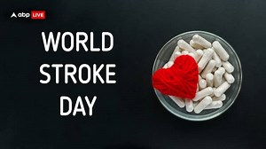 A Stroke Can Cause Paralysis Or Other Physical Disabilities, But Recovery Is Possible