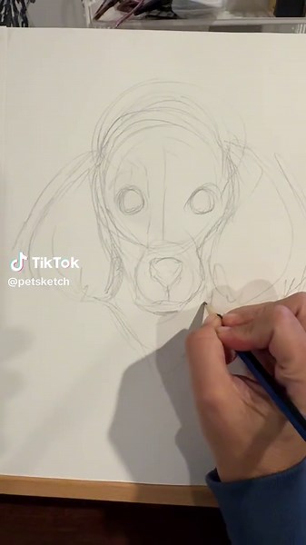 Cómo dibujar un perro de juguete Poodle