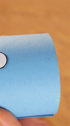 oilet Paper Roll Toy Craft Hack.