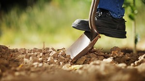 On '811 Day' a safety reminder to call to 811 before digging