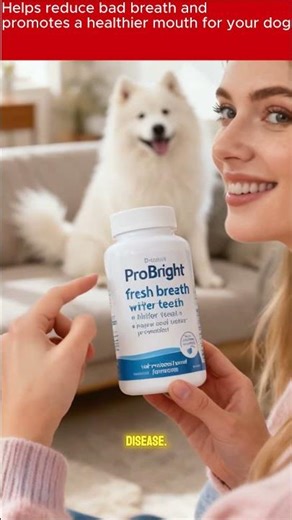 Stop your dog's bad breath! 🐕 🦷 Amazon vs TikTok Shop Deal