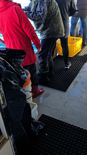 Another beautiful day on the old salty salt shacker 🐟🐟🐟🐟 . We are getting very booked up for work doos so get it quick and book your next trip 🐟🐟🐟🐟 | Moeraki Fishing Charters