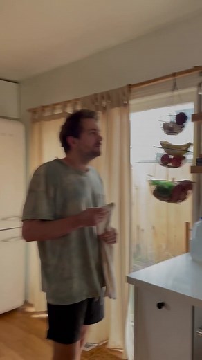 Adorable Hummingbird House Discovery