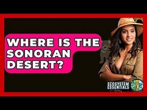 Where Is The Sonoran Desert? - Ecosystem Essentials