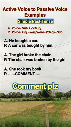 Active & Passive Voice Quiz | Past Simple Tense Examples #shorts #englishgrammar
