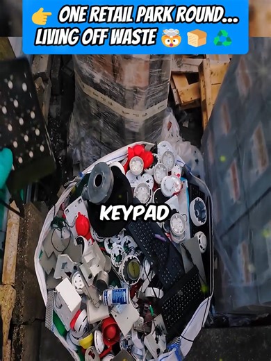 Exploring the Impact of Dumpster Diving on Waste Management