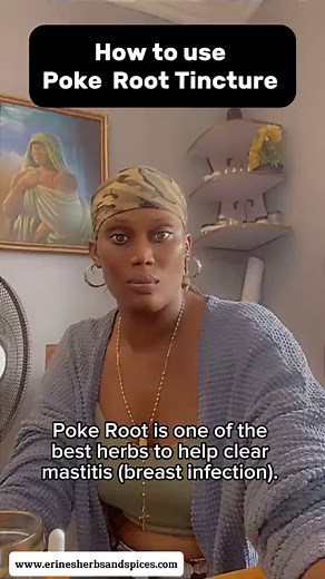 How to Use Poke Root Tincture for Holistic Wellness