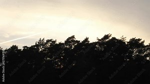 Golden hour sunset over treeline - fast zoom in. At 0.08 you can see clouds passing by in a golden glow by the sun, at 0:18 the sun sets and it gets dark.