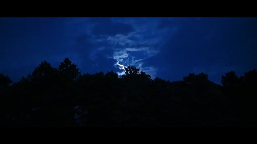 Ever wonder how historical military imagery gets captured around the world? Check this out… . Airmen assigned to 1st and 4th Combat Camera Squadrons are specifically trained in tactics, low and no-light imagery acquisition, sensitive site exploitation and aerial and ground documentation, enabling them to seamlessly embed with teams to document missions at a moment’s notice, at any location. . So come, we challenge you to become #OneOfUs 💪 Take that leap this year and carpe diem By joining the 1