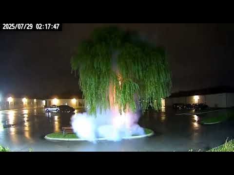 Lightning Strike Hits Tree! ⚡🌲 Caught On Camera#LightningStrike #CaughtOnCamera #TreeStrike