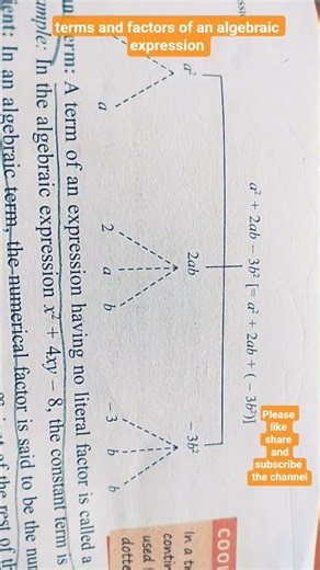 algebraic expression ( terms and factors) #maths #mathematics #education #exam #concept