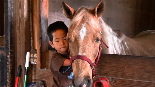 Giddy up! Buckaroo Ball returns to raise funds - and fun - for Harmony Farms