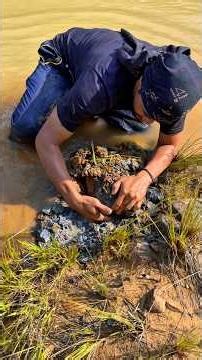 Perfect, the process of getting a lump of gold on the edge of the river, amazing #lokingforgold