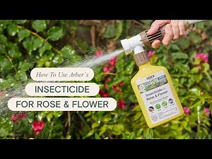 Ready to Spray Organic Insecticide: How to Best Use & Apply for Pest-Free Roses & Flowers