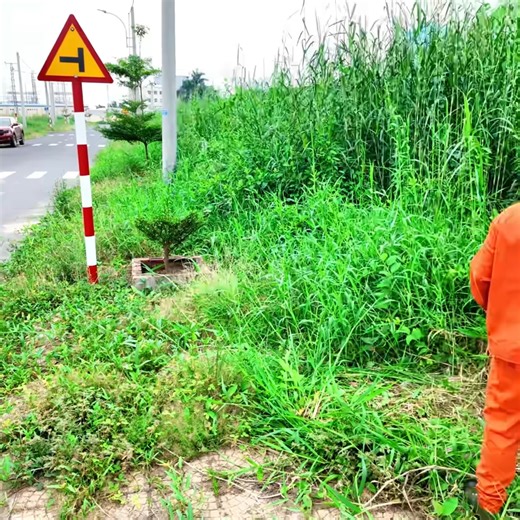 In Just 1 Hour, The Sidewalk Transformed Dramatically - Trash Properly Disposed! #cleanthehouse #gardening #cleanabandonedhouse | Clean The Old House