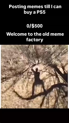 just memes on Instagram: "This meme video shows a man standing on a tree branch, happily singing and bouncing like he’s performing for an audience of squirrels. He’s completely confident—until the branch suddenly snaps and sends him dropping out of frame. The unexpected fall combined with his cheerful singing makes the moment instantly hilarious. People use this meme for situations where someone is way too confident right before everything collapses—literally or metaphorically. The upbeat mood,