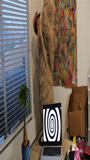 Exploring Freedom Core Concepts in Video Edits